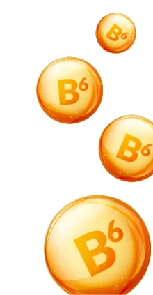 Vitamin B6